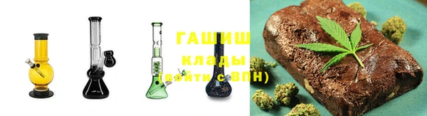 гидра Бородино