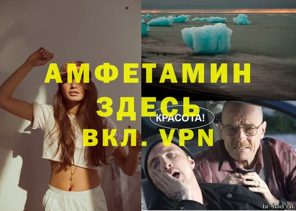 гидра Бородино