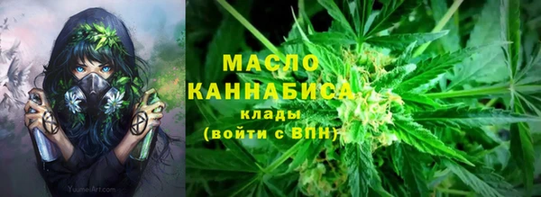 гидра Бородино